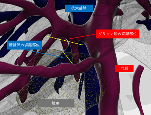イメージ01