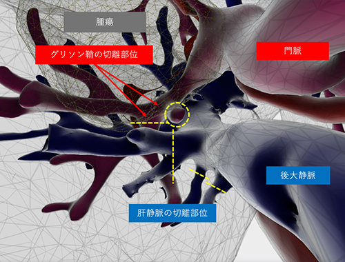イメージ02